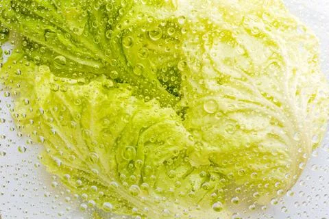 Water drops of cabbage background Stock Photos