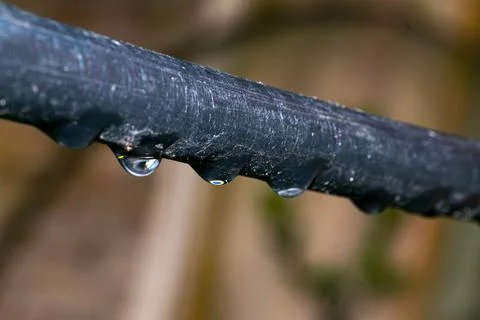 Water drops on a cable Stock Photos