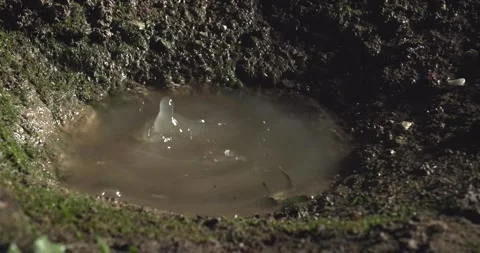 The water drops in the cave Stock Footage 292946188