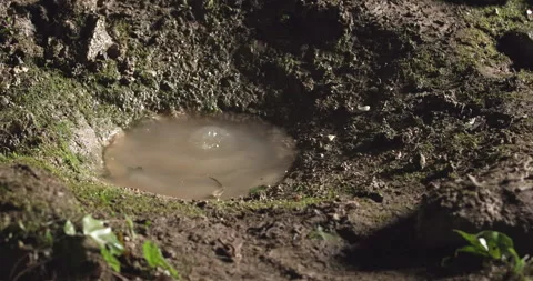 The water drops in the cave Stock Footage 292946964