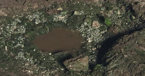 The water drops in the cave Stock Footage 292947119