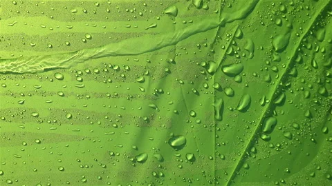Water drops on cloth Stock-Footage 166248398