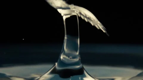 Water Drops Collisions In Slow Motion Stock Footage 98298682
