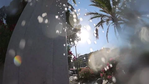 Water drops creating bokeh effect, tropical palm trees under intense summer sun, Stock Footage 339821886
