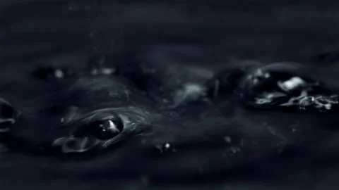 Water drops. Dark abstract macro scene Stock Footage 317580048