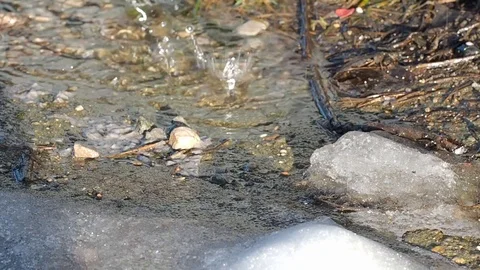Water drops drip down and break with splashes in the spring. Stock Footage 123240612