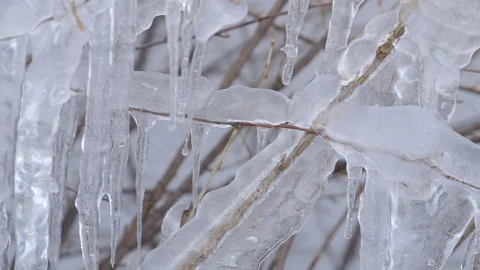 Water drops dripping from icicles Stock Footage 83864884