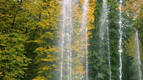 Water drops fall down in slow motion against a background of yellow autumn trees Stock Footage 347800917