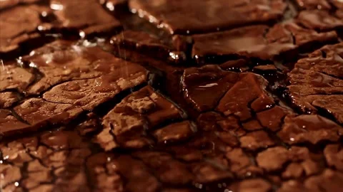 Water drops fall on dry and cracked brown soil Stock Footage 333828614