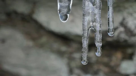 Water drops fall from ice floe Stock Footage 170857177