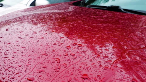 Water drops fall on a red metal car hood during rain.	 Stock-Footage 313371014
