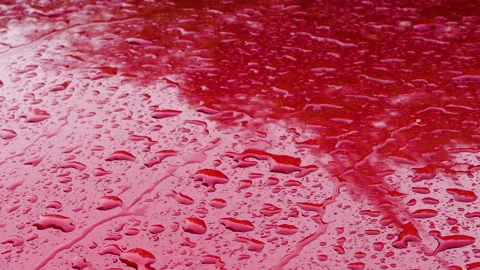 Water drops fall on a red metal car hood during rain. Video stock 313906474