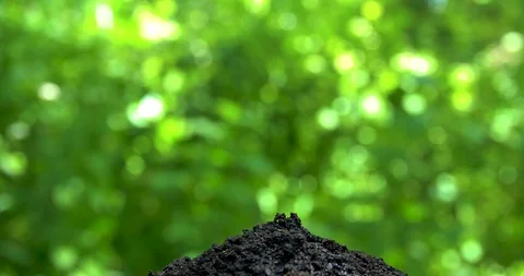 Water drops fall small hill of earth. Close up side view on green background. Stock-Footage 127747327