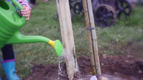 Water Drops Fall on a Soft Ground Stock Footage 74275973