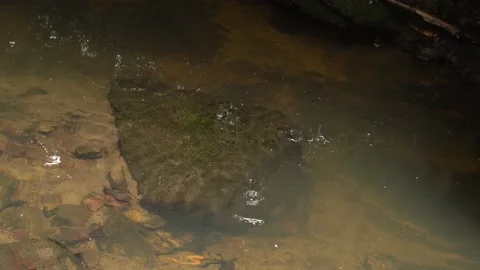 Water drops fall on a surface of a creek with sandy bottom and rocks. Stock Footage 142412260