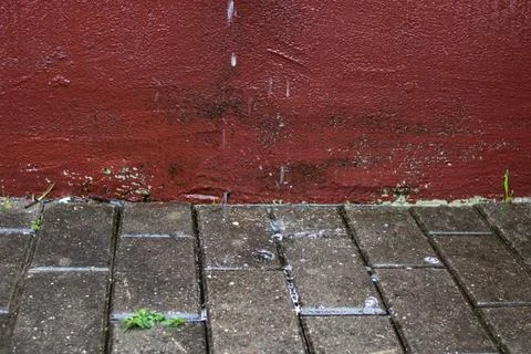 Water drops fall on the tiled sidewalk Stock Photos