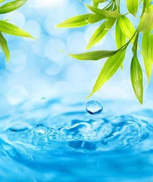 Water drops falling from a bamboo leaf Stock Illustration