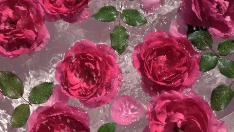 Water drops falling on beautiful composition with red rose flowers and leaves 動画素材 111419036