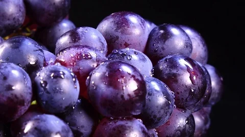 Water drops falling onto bunch of red grapes in extreme slow motion Видео 78506698