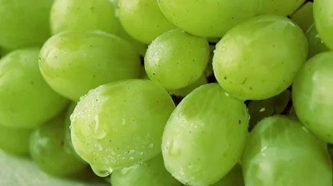Water Drops Falling On Closeup Bunch Of Green Grapes Isolated On A White Stock Footage 53042595