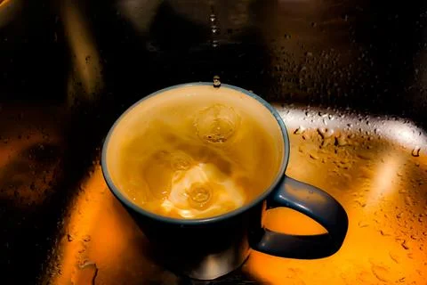 Water drops falling into the cup Stock Photos