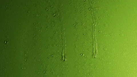 Water drops falling down on the glass of beer. Stock Footage 138541226