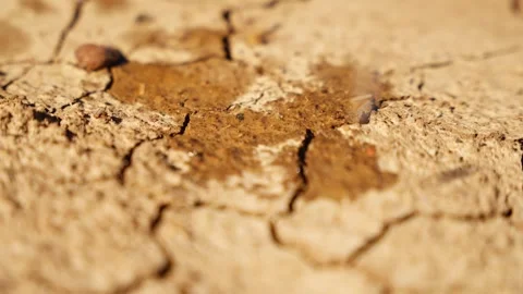 Water drops falling on dry, cracked ground in a desert landscape showing Stock Footage 310596046