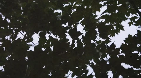 Water drops falling a fast camera. Stock Footage 56141834