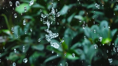 Water drops falling Stock Footage 282545403