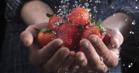 Water drops falling on fresh red strawberries in farmer's hands at farmland Stock Footage 268802293