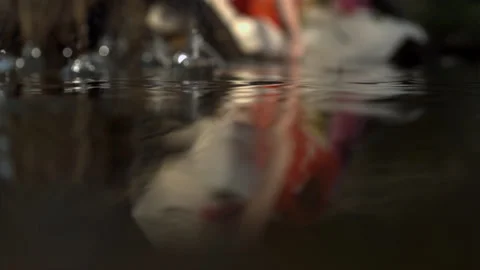 Water drops falling on the lake surface Stock Footage 256949751