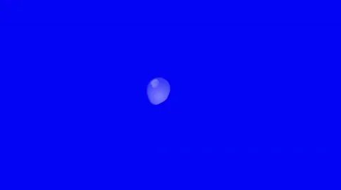 Water Drops Falling from a Point of View on a Blue Screen Stock Footage 68777092