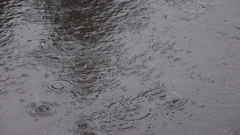 Water drops falling into puddle on asphalt. Stock Footage 98235840