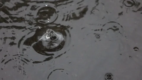 Water drops falling into puddle on asphalt. Vídeo Stock 98407436
