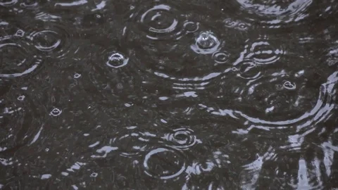 Water drops falling into puddle on asphalt. Stock Footage 98407452