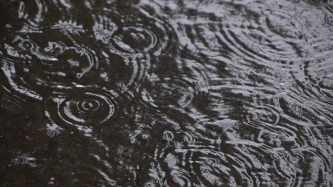 Water drops falling into puddle on asphalt. 動画素材 98416482