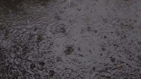 Water drops falling into puddle on asphalt. 스톡 동영상 98427678