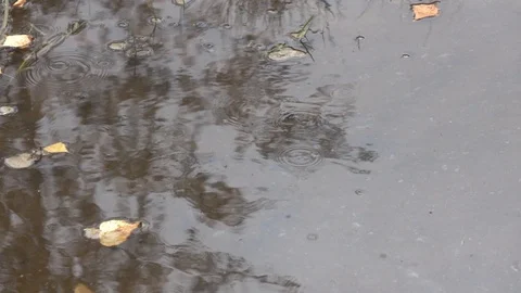 Water drops falling into puddle on asphalt. Stock Footage 98500044