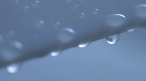 Water drops flowing 18 Video stock 11900171