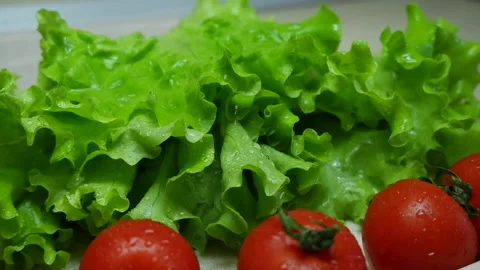 Water drops fly from a bunch of wet green salad and tomatoes. Stock Footage 152571398