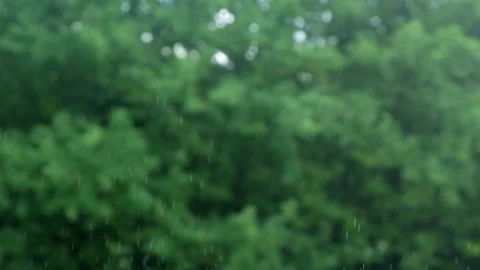 Water drops flying in slow motion on background of green trees outdoors Stock Footage 226918481