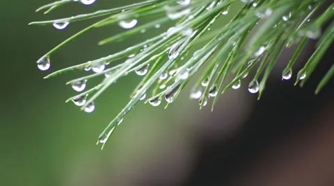 Water drops 스톡 동영상 8551126