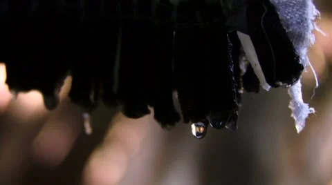 Water drops Stock Footage 8677290