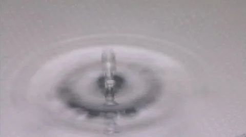 Water drops Stock Footage 33712694