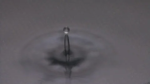 Water drops Video stock 33712697