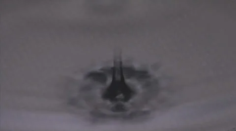 Water drops Stock Footage 33712714