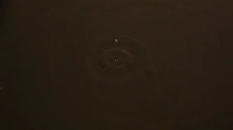 Water drops Stock Footage 50731297