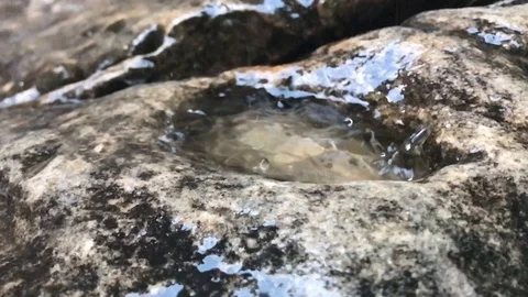 Water Drops 動画素材 88794849