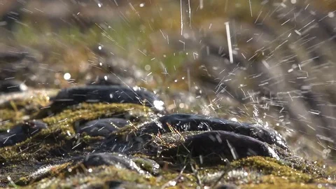 WATER DROPS Stock Footage 102398385