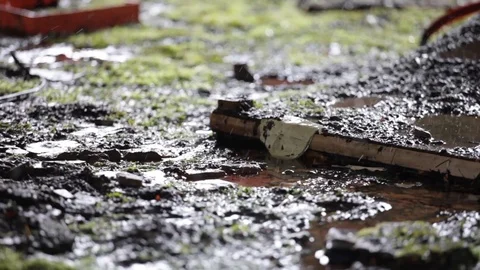 Water drops 스톡 동영상 124291084